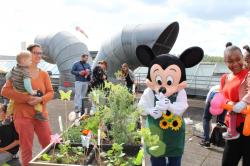 La magie de Disneyland au centre hospitalier 